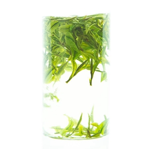 高檔商務(wù)禮品安吉白茶如何選購(gòu)？