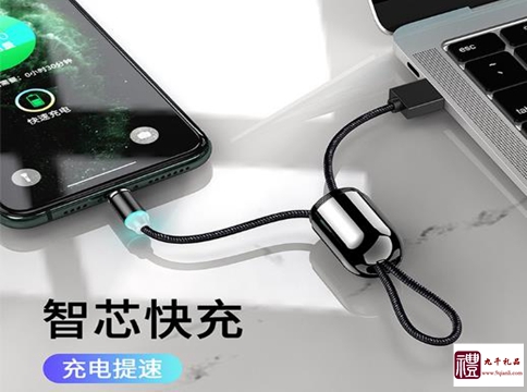 汽車鑰匙扣掛件數(shù)據(jù)線定制 汽車鑰匙扣掛件數(shù)據(jù)線定制